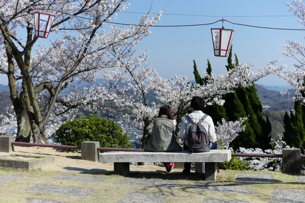 ここも春