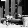 お店番