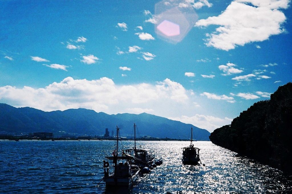 海