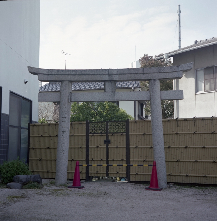通せんぼ　その２