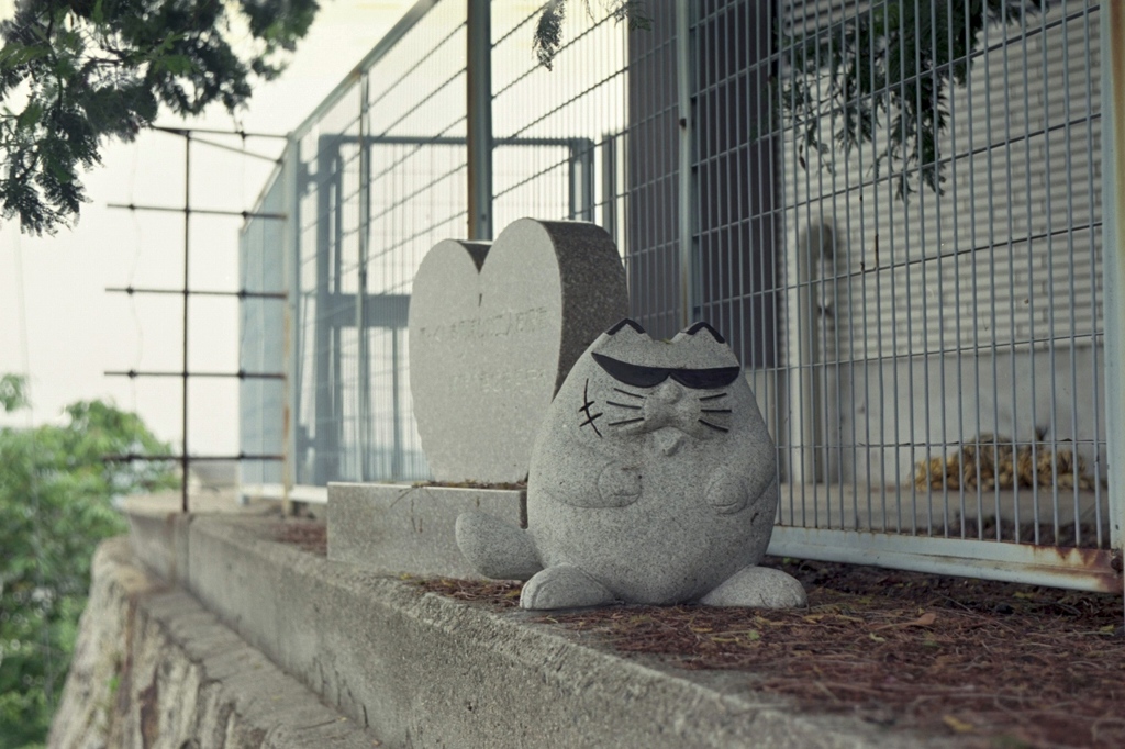 目つきの悪いネコ