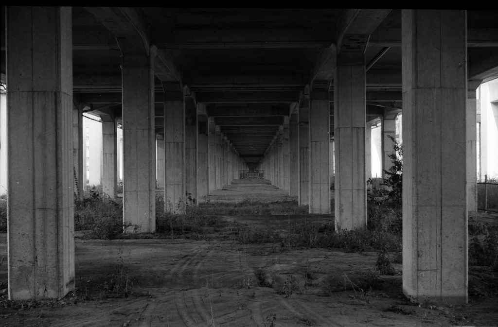 まっ直ぐな道