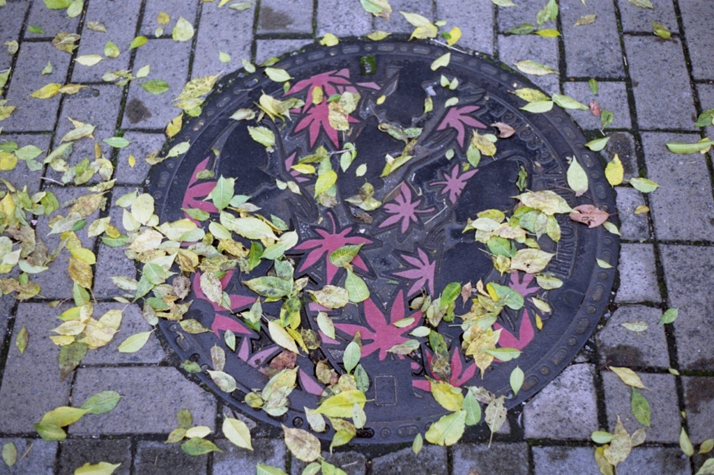 紅葉　その２