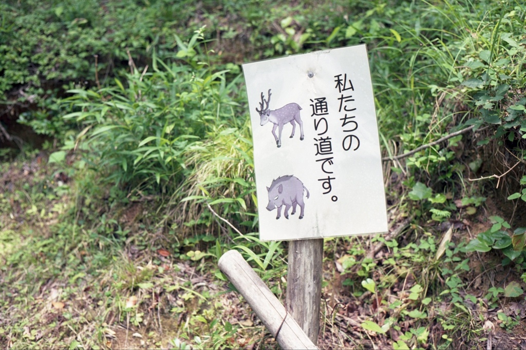 ちょっと通してくだしゃんせ