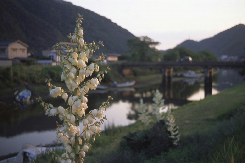 夕暮れ時　～２