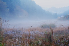 朝霧清涼