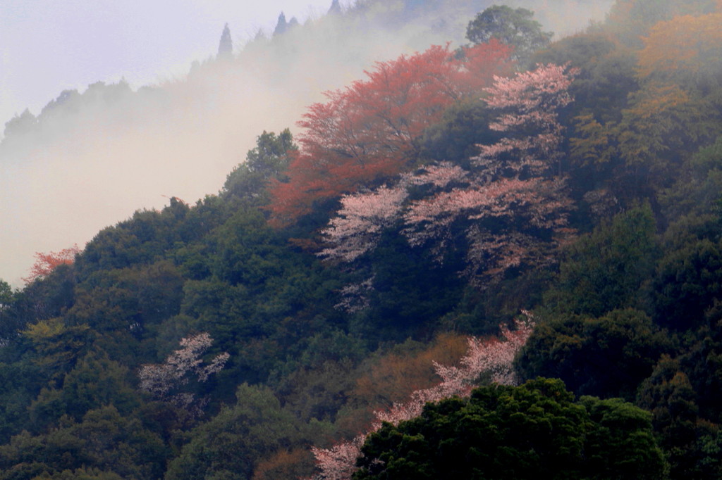 春の朝