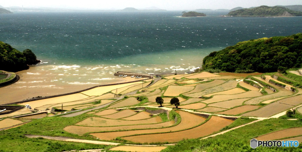 棚田