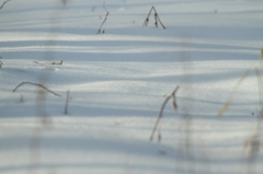 雪原模様