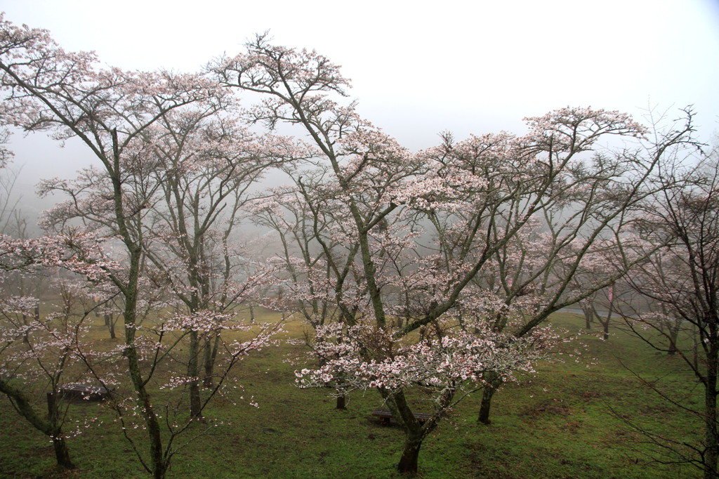 千本桜