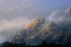 英彦山ー紅葉