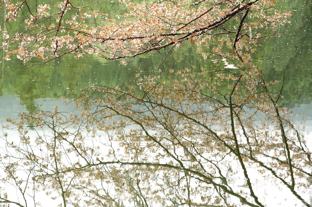 写し絵