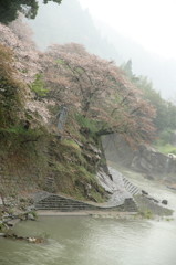 雨上がり