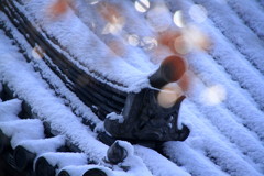 雪の梅林寺