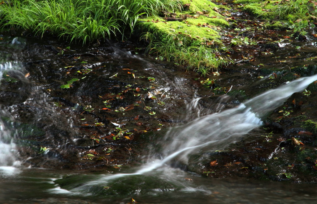 水源の森
