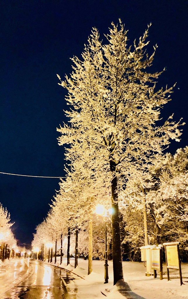 クリスマス
