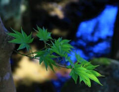 まもなく・・・。