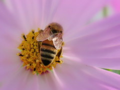 IMG_7882