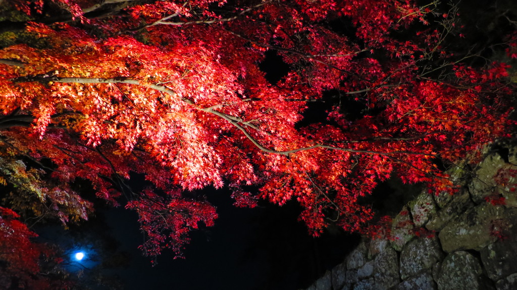 荒城