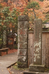 明月院(鎌倉)