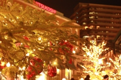 Christmas　Tree