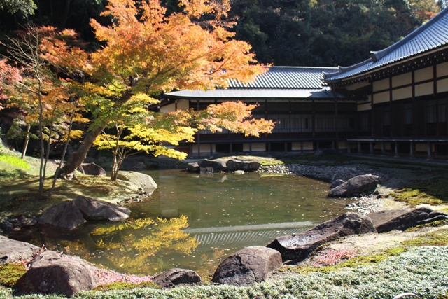 秋模様(円覚寺/鎌倉)