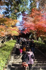 円覚寺(鎌倉)