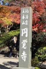 円覚寺(鎌倉)