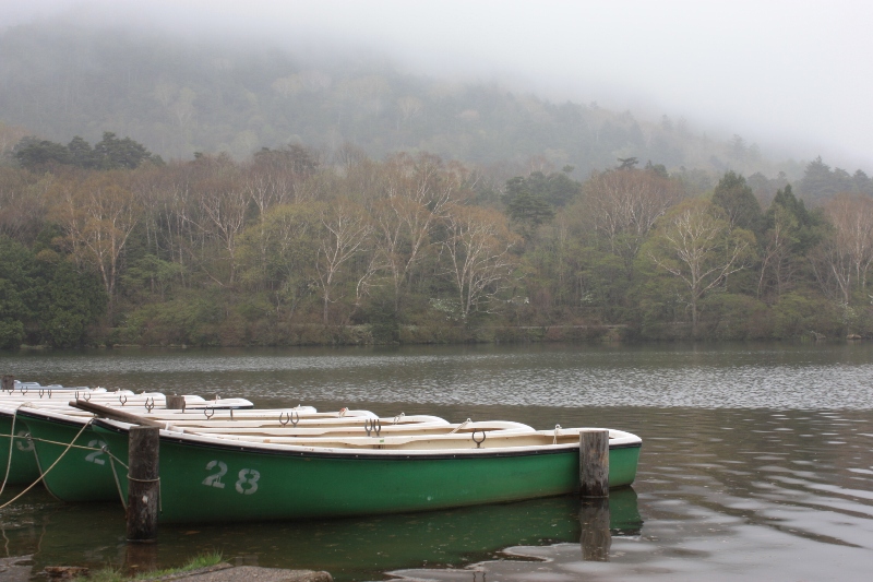 The Lake Forest
