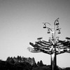 深大寺植物公園