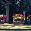 正月の神社