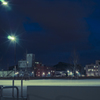 夜　公園