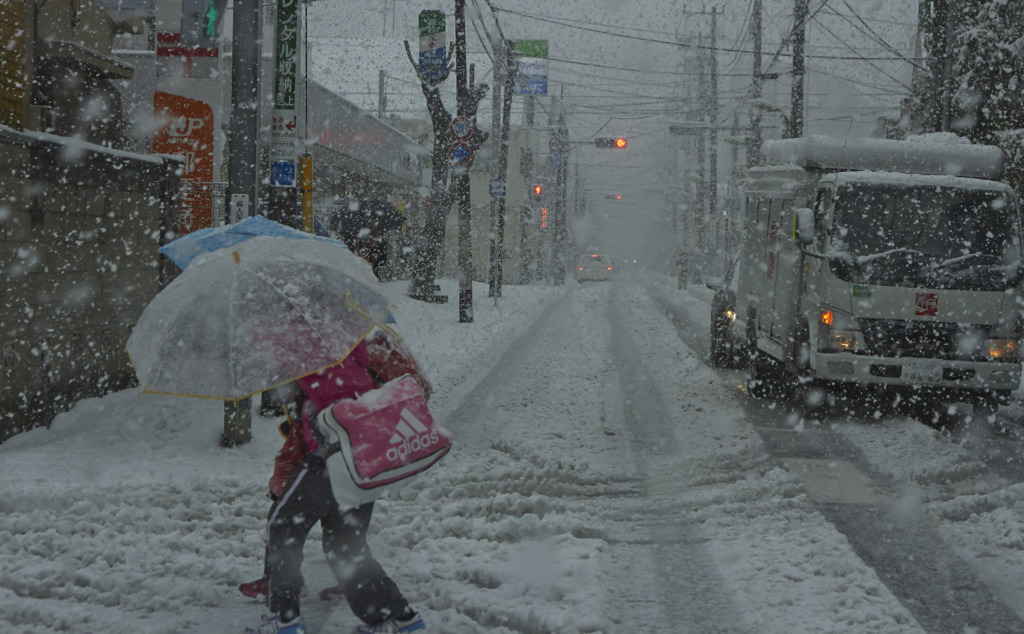 雪の日