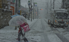 雪の日