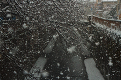 雪の日の呑川