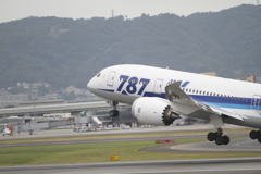 久しぶりのFLT