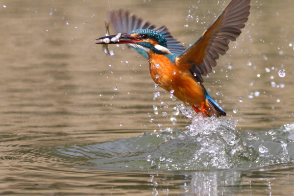 ちょい切れてますが
