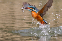 ちょい切れてますが