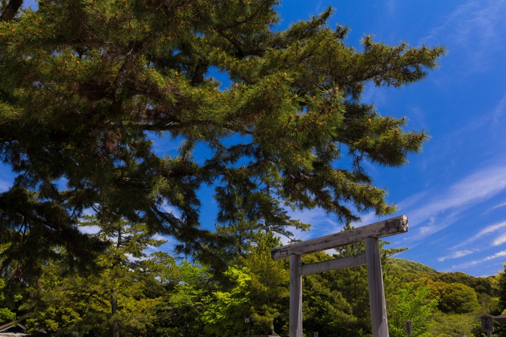 鳥居