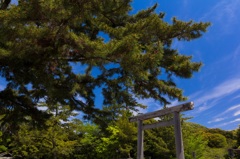 鳥居