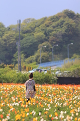 花と…