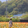 花と…