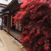 楓