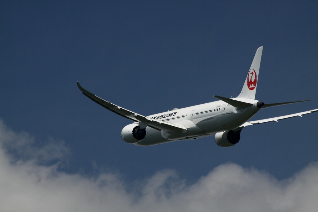 成田空港にて1