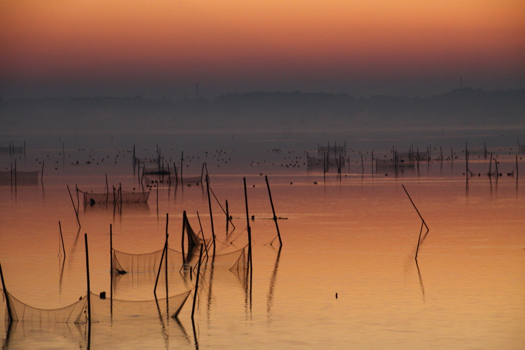 朝靄の印旛沼