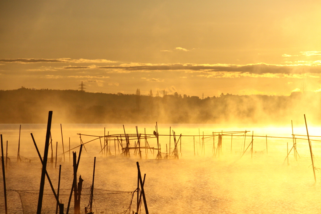 朝靄に煙る印旛沼1