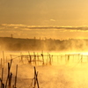 朝靄に煙る印旛沼1