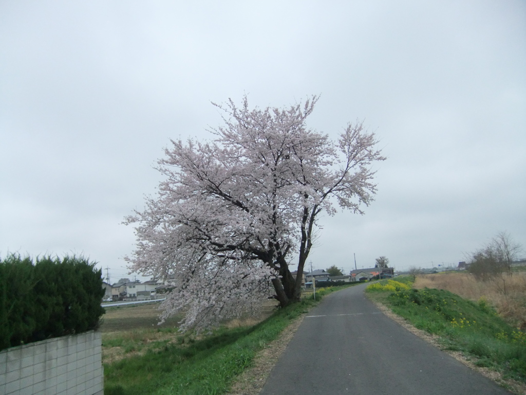 F70_1125