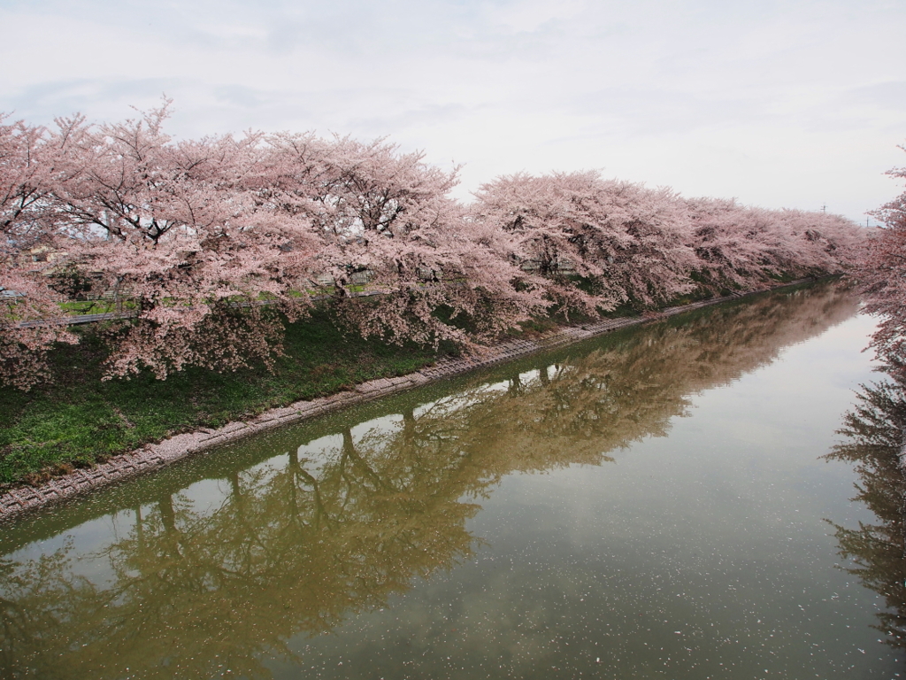 花散らし