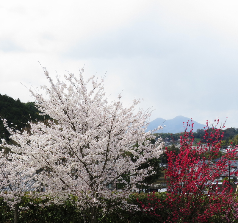 奈良人の心の山